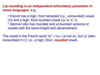 Lip rounding is an independent articulatory parameter in some languages :  e.g.,  French has a high, front retracted (i.e., unrounded) vowel (/i/) and a high, front rounded vowel (/y/ or /  /).  German also has rounded and unrounded versions of vowels with the same height and advancement. The vowel in the French word “ tu ”  (“ You .”)  is not /u/, but /y/ (also transcribed /  /); i.e., a high, front,  rounded  vowel. 