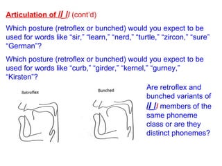 Articulation of  /  /  (cont’d) Which posture (retroflex or bunched) would you expect to be used for words like “sir,” “learn,” “nerd,” “turtle,” “zircon,” “sure” “German”?  Which posture (retroflex or bunched) would you expect to be used for words like “curb,” “girder,” “kernel,” “gurney,” “Kirsten”?  Are retroflex and bunched variants of  /  /  members of the same phoneme class or are they distinct phonemes? 