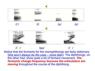 /  /  /i/  /u/  /o/ /  /  /au/  /  /  Notice that the formants for the monophthongs are fairly stationary ( this won’t always be the case – more later ). The diphthongs, on the other had, show quite a bit of formant movement.  The formants change frequency because the articulators are moving  throughout the course of the diphthong. 