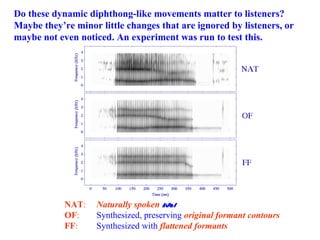 NAT : Naturally spoken   /hAd/ OF : Synthesized, preserving  original formant contours FF : Synthesized with  flattened formants Do these dynamic diphthong-like movements matter to listeners? Maybe they’re minor little changes that are ignored by listeners, or maybe not even noticed. An experiment was run to test this. 