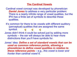 The Cardinal Vowels Cardinal vowel concept was developed by phonetician  Daniel Jones  to address a very particular problem: There is a nearly infinite range of vowel qualities, but the IPA has a finite set of symbols to describe these qualities.  It’s common for there to be vowels with different auditory (perceptual) qualities that are assigned the same symbol.  Jones didn’t think it could be solved just by adding more symbols -- the ear will always be able to hear more distinctions than you’ll have symbols for.  Jones’ idea:  Define a set of standard vowels that can be used as common reference points, allowing a phonetician to define vowel qualities in relation to these reference points  – e.g.,  this vowel is lower and fronter than cardinal vowel 6 . 