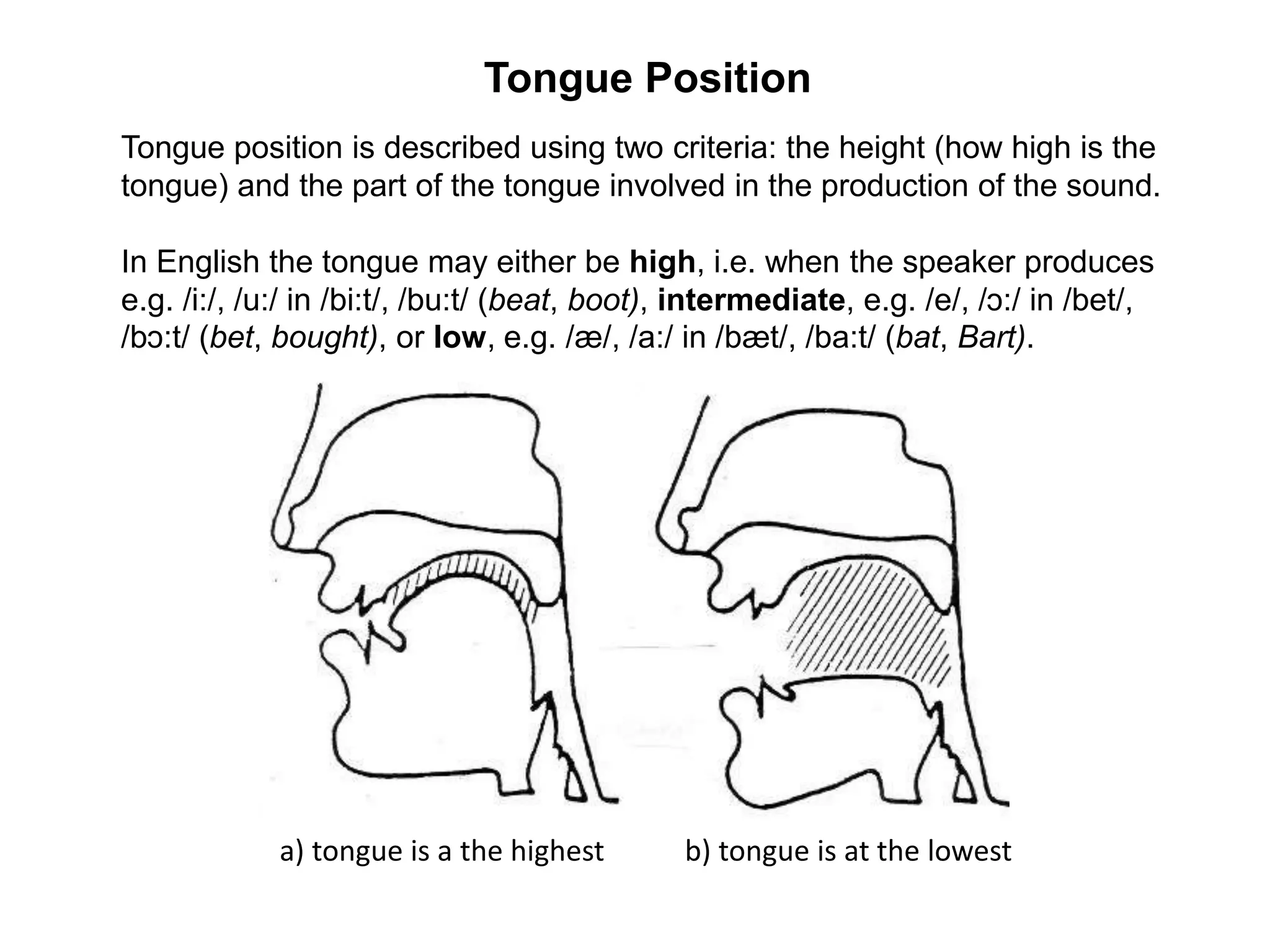 English Vowel Sounds - Phonetics and Phonology | PPTX