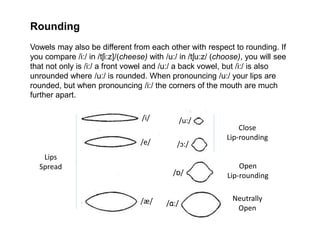 Tongue Rounding English Vowel Sounds - Phonetics and Phonology | PPTX