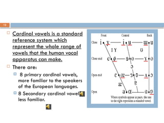 12
 Cardinal vowels is a standard
reference system which
represent the whole range of
vowels that the human vocal
apparatus can make.
 There are:
 8 primary cardinal vowels,
more familiar to the speakers
of the European languages.
 8 Secondary cardinal vowels,
less familiar.
 