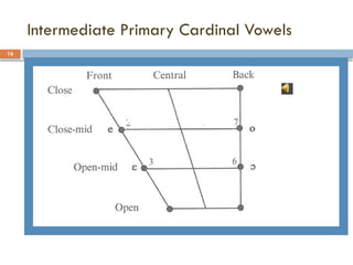 Intermediate Primary Cardinal Vowels
16
 