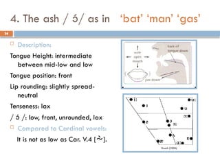 34
4. The ash / / as in ‘bat’ ‘man’ ‘gas’
 Description:
Tongue Height: intermediate
between mid-low and low
Tongue position: front
Lip rounding: slightly spread-
neutral
Tenseness: lax
/  /: low, front, unrounded, lax
 Compared to Cardinal vowels:
It is not as low as Car. V.4 [].
34
 