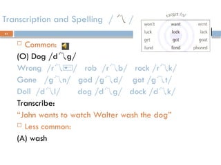 41
Transcription and Spelling /  /
 Common:
(O) Dog /dg/
Wrong /r/ rob /rb/ rock /rk/
Gone /gn/ god /gd/ got /gt/
Doll /dl/ dog /dg/ dock /dk/
Transcribe:
“John wants to watch Walter wash the dog”
 Less common:
(A) wash
 