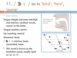 54
11. /  / as in ‘bird’, ‘fern’,
‘purse’
 Description:
Tongue Height: between mid-high
and mid-low cardinal vowels,
nearer to the latter.
Tongue position: centre
Lip rounding: neutral
Tenseness: tense
/  /: mid-low, back,
unrounded, tense.
• This vowel is known as the
hesitation sound, usually spelt
as ‘er’ or ‘ir’.
 