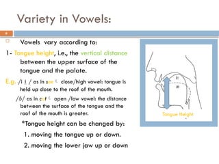 Variety in Vowels:
6
 Vowels vary according to:
1- Tongue height, i.e., the vertical distance
between the upper surface of the
tongue and the palate.
E.g. /i/ as in see close/high vowel: tongue is
held up close to the roof of the mouth.
// as in cat open /low vowel: the distance
between the surface of the tongue and the
roof of the mouth is greater.
*Tongue height can be changed by:
1. moving the tongue up or down.
2. moving the lower jaw up or down
Tongue Height
 