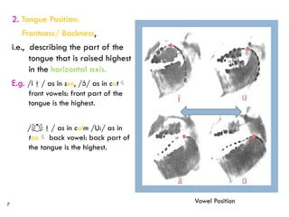 7
2. Tongue Position:
Frontness/ Backness,
i.e., describing the part of the
tongue that is raised highest
in the horizontal axis.
E.g. /i/ as in see, // as in cat
front vowels: front part of the
tongue is the highest.
// as in calm /U:/ as in
too back vowel: back part of
the tongue is the highest.
Vowel Position
 