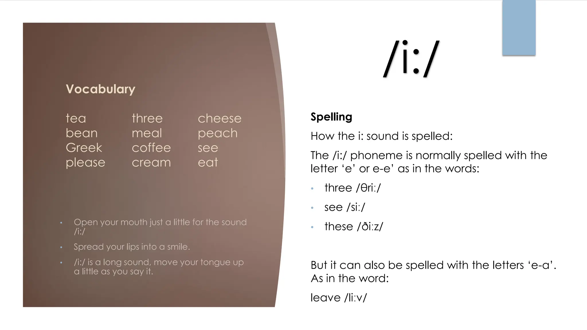 /i:/
Vocabulary
tea three cheese
bean meal peach
Greek coffee see
please cream eat
• Open your mouth just a little for the sound
/i:/
• Spread your lips into a smile.
• /i:/ is a long sound, move your tongue up
a little as you say it.
Spelling
How the i: sound is spelled:
The /i:/ phoneme is normally spelled with the
letter ‘e’ or e-e’ as in the words:
• three /θriː/
• see /siː/
• these /ðiːz/
But it can also be spelled with the letters ‘e-a’.
As in the word:
leave /liːv/
 
