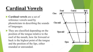 Cardinal Vowels
 Cardinal vowels are a set of
reference vowels used by
phoneticians in describing the sounds
of languages.
 They are classified depending on the
position of the tongue relative to the
roof of the mouth, how far forward or
back is the highest point of the tongue
and the position of the lips, either
rounded or unrounded.
 