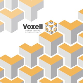 Connecting the physical
and digital world together
Voxell
 