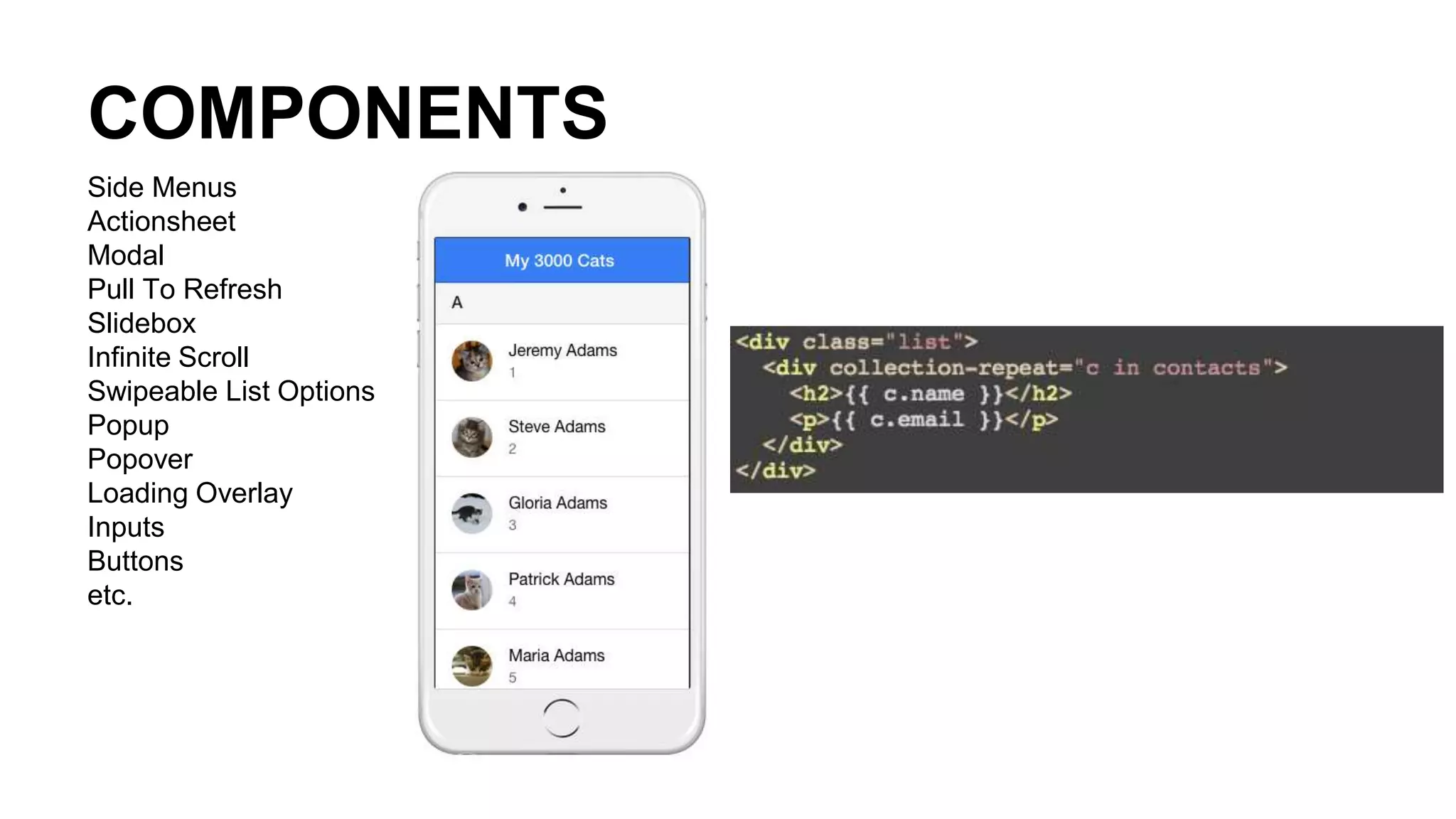 COMPONENTS
Side Menus
Actionsheet
Modal
Pull To Refresh
Slidebox
Infinite Scroll
Swipeable List Options
Popup
Popover
Loading Overlay
Inputs
Buttons
etc.
 