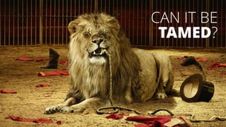 CAN IT BE
TAMED?
 