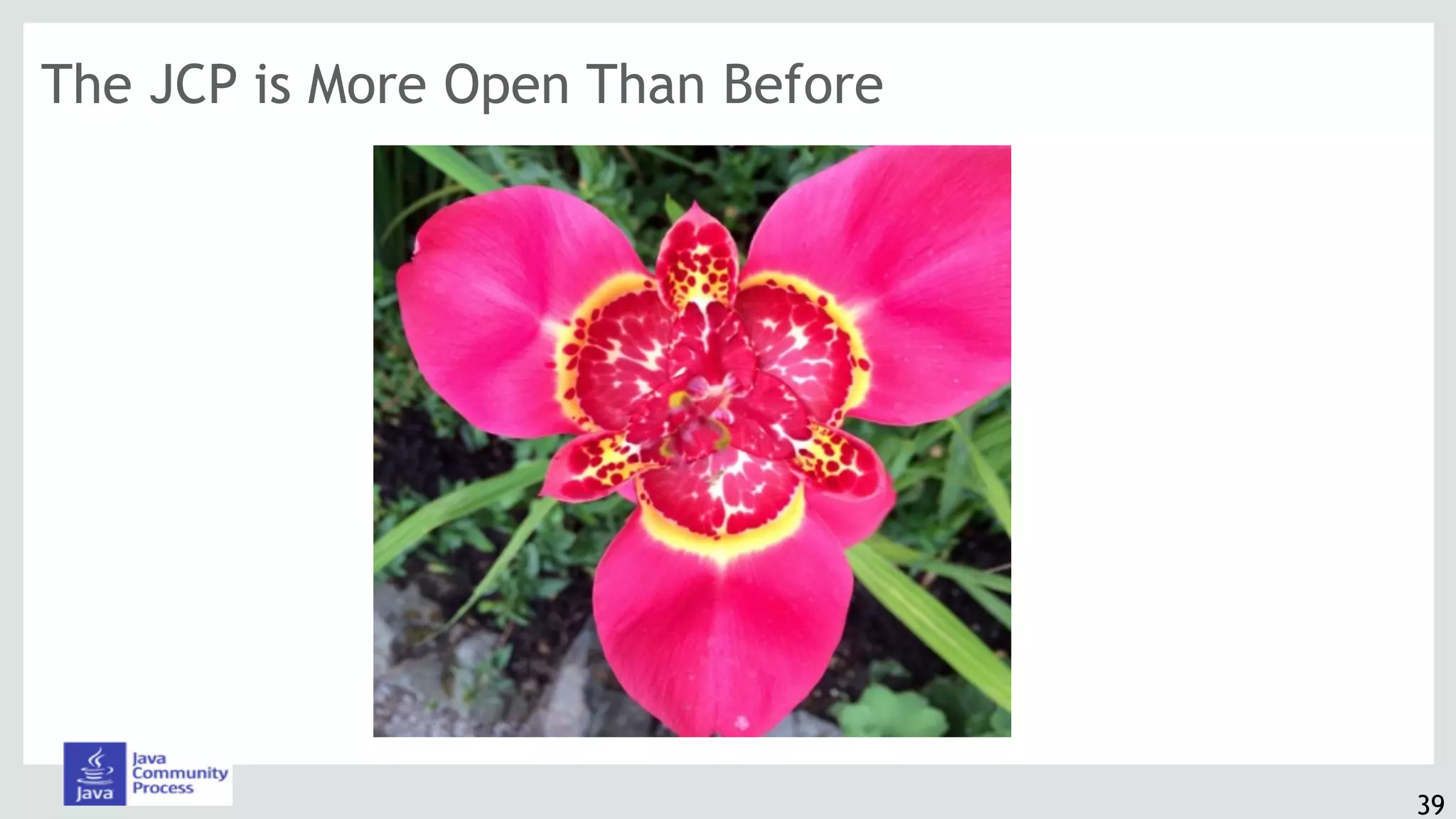 The JCP is More Open Than Before
39
 