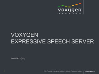 VOXYGEN
    EXPRESSIVE SPEECH SERVER

    Mars 2013 (1.2)




1
 