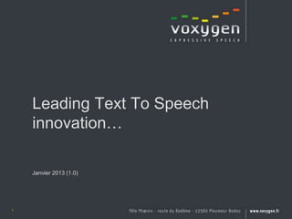 Leading Text To Speech
    innovation…

    Janvier 2013 (1.0)




1
 