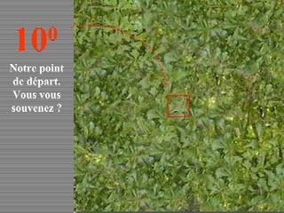 Notre point de départ. Vous vous souvenez ? 10 0 