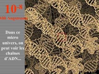 Dans ce micro univers, on peut voir les chaînes d’ADN... 10 -8 100 Angstroms 