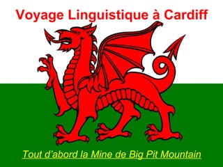 Voyage Linguistique à Cardiff
Tout d’abord la Mine de Big Pit Mountain
 
