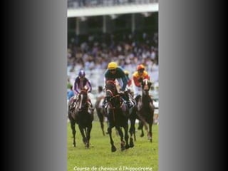 Course de chevaux à l’hippodrome 