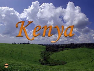 Voyage au kenya wal