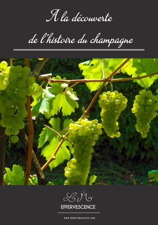 www.ludovicmessiers.com 
A la découverte 
de l’histoire du champagneEFFERVESCENCE  
