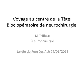 Voyage	au	centre	de	la	Tête	
Bloc	opératoire	de	neurochirurgie	
M	Triﬀaux		
Neurochirurgie		
	
Jardin	de	Pensées	Ath	24/01/2016	
 