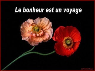 Le bonheur est un voyage 