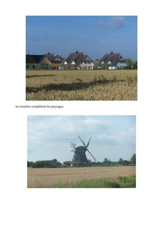 les moulins complètent les paysages

 