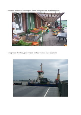 nous nous arrêtons sur la route pour acheter des légumes à la propriété agricole

nous prenons deux bacs, pour traverser des fleuves et une route souterraine

 