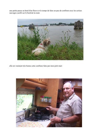 une petite pause au bord d'un fleuve et le temps de faire un peu de confiture avec les cerises
sauvages cueilli sur le bord de la route

elle est vraiment très bonne cette confiture faite par mon petit mari

 