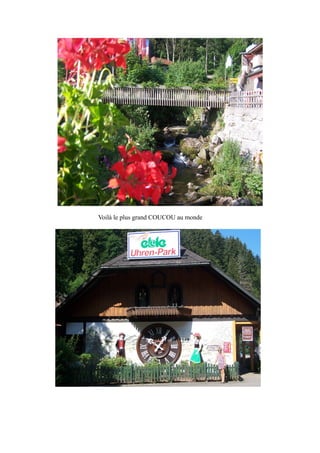 Voilà le plus grand COUCOU au monde

 