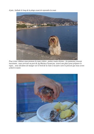 4 juin , ballade le long de la plage avant de reprendre la route

Pour éviter Athènes nous prenons la route côtière , petites routes étroites , les panneaux souvent
inexistants , nous arrivons au port de Ag Marina n'ayant pas trouvé une place pour préparer le
repas , nous décidons de manger sur le bord de la route et de faire cuire le poisson que nous avons
acheté le matin

 