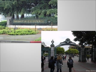 © Katy Massucco © Katy Massucco 