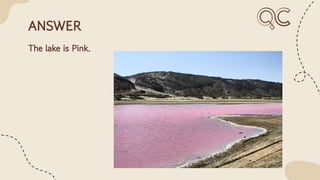 ANSWER
The lake is Pink.
 