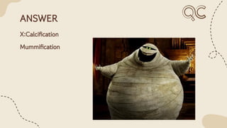 ANSWER
X:Calciﬁcation
Mummiﬁcation
 