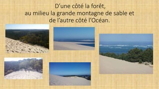 D’une côté la forêt,
au milieu la grande montagne de sable et
de l’autre côté l’Océan.
 