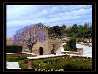 ALMERIA (LA ALCAZABA)

 