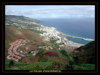 LA PALMA (PANORÁMICA)

 