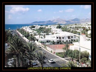 LANZAROTE (PUERTO DEL CARMEN)

 