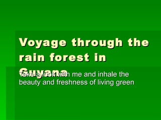 Voyage through the rain forest in Guyana Take a look with me and inhale the beauty and freshness of living green 