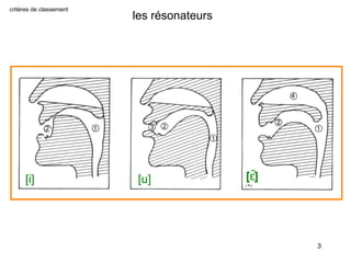 critères de classement

[i]

les résonateurs

[u]

[ɛ ̃]

3

 