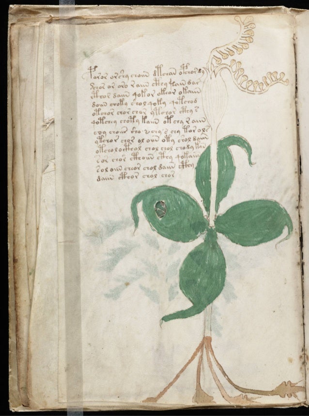 Voynich