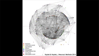 Voytek & Voytek, J Neurosci Methods 2012
 