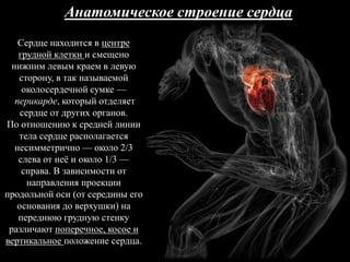 Анатомическое строение сердца
Сердце находится в центре
грудной клетки и смещено
нижним левым краем в левую
сторону, в так называемой
околосердечной сумке —
перикарде, который отделяет
сердце от других органов.
По отношению к средней линии
тела сердце располагается
несимметрично — около 2/3
слева от неѐ и около 1/3 —
справа. В зависимости от
направления проекции
продольной оси (от середины его
основания до верхушки) на
переднюю грудную стенку
различают поперечное, косое и
вертикальное положение сердца.
 