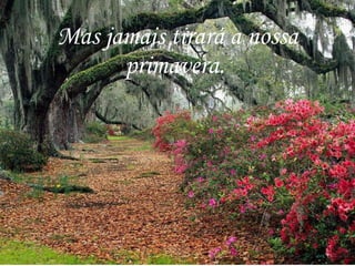 Mas jamais tirará a nossa primavera.   