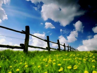 Vozes da primavera de strauss