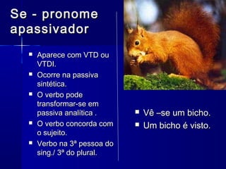 Se - pronome
apassivador
     Aparece com VTD ou
      VTDI.
     Ocorre na passiva
      sintética.
     O verbo pode
      transformar-se em
      passiva analítica .        Vê –se um bicho.
     O verbo concorda com       Um bicho é visto.
      o sujeito.
     Verbo na 3ª pessoa do
      sing./ 3ª do plural.
 